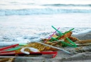 This festive season, say no to single use plastic straws. Consider alternatives, like reusable straws or biodegradable straws, drink from a glass cup or bottle. #ProtectTheBluePlanet #PlasticStraws #OceanProtection #MarineHabitat #biodiversity