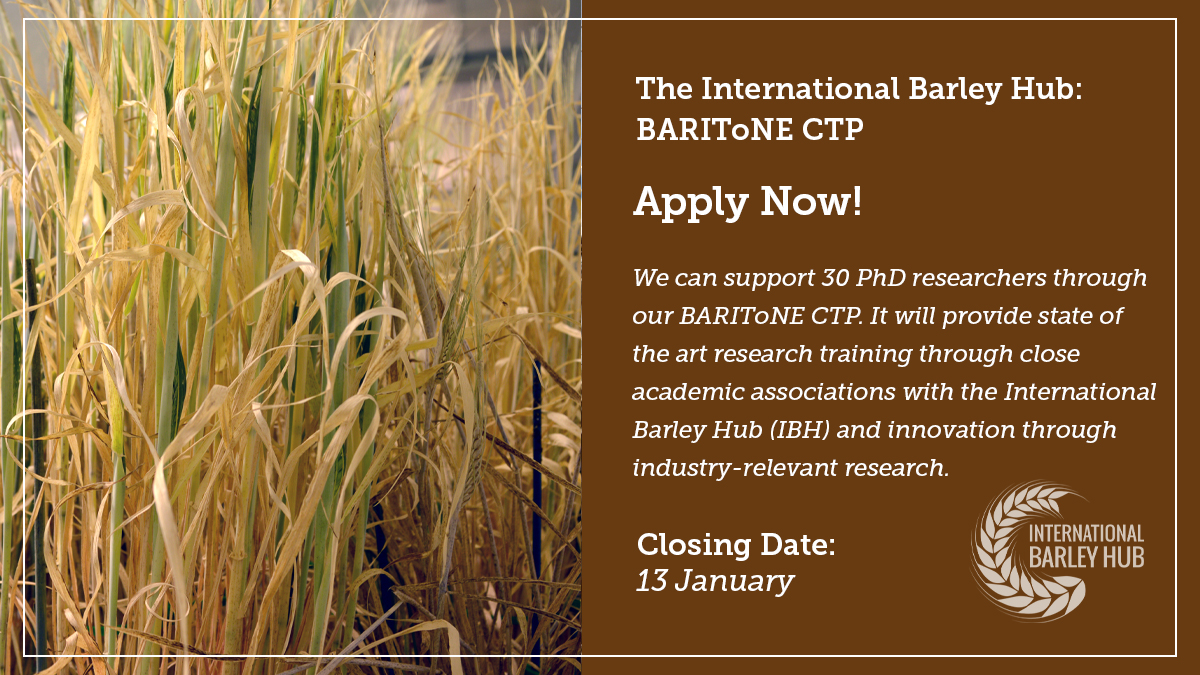 International Barley Hub tweet media