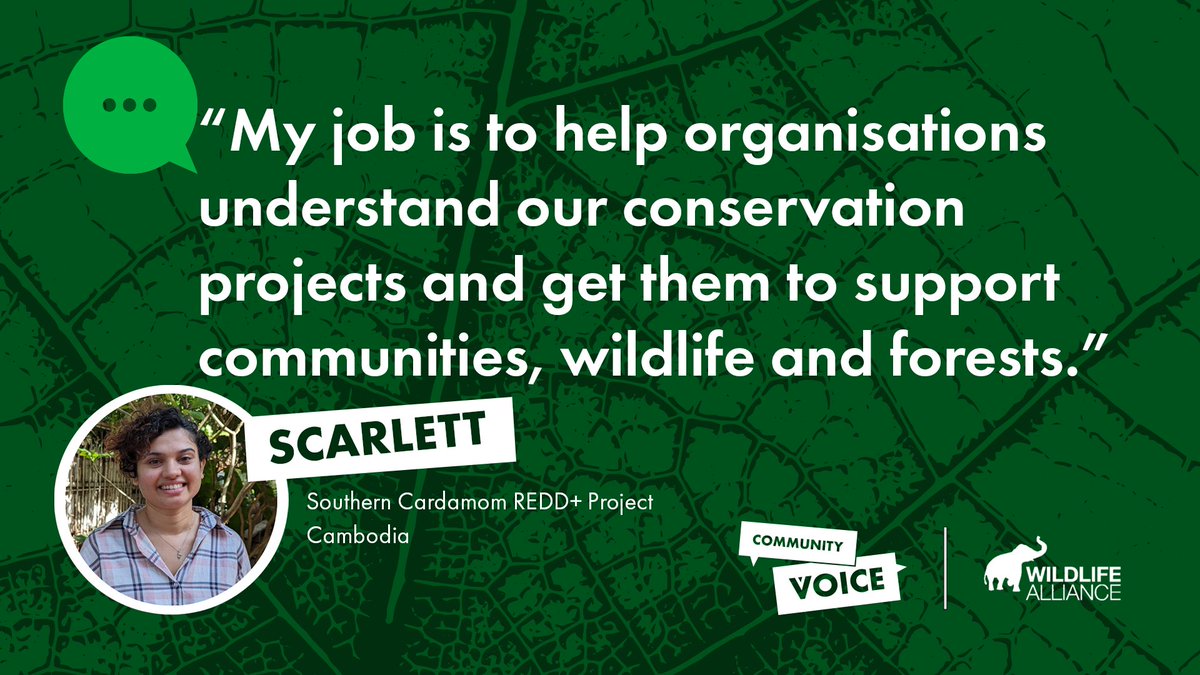 👋 Meet Scarlett the #CommunityVoice creator from the Wildlife Alliance Southern Cardamom REDD+ project in Cambodia. 

Read about why she believes it’s essential for local and Indigenous stories to be heard ➡️ everland.earth/voice/local-an…