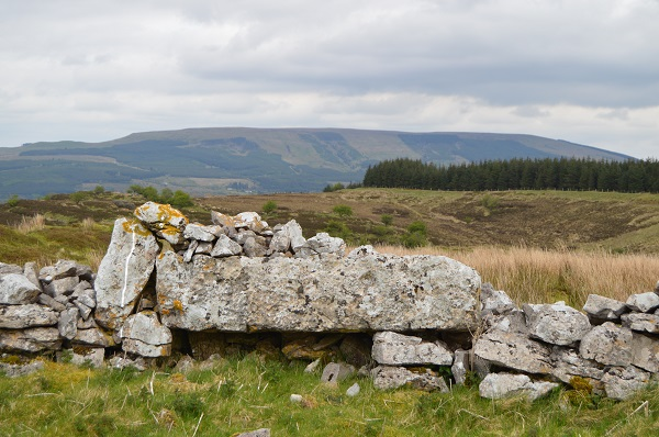 Wednesday Walk - Tullyskeherney Archaeology Site
Manorhamilton
A perfect walk for the winter solstice.
The huge court tomb is over 35m long with further tombs hidden in the plateau. the walk is 4Km starting from the entrance. #walk #wintersolstice #archaeology #heritage #leitrim