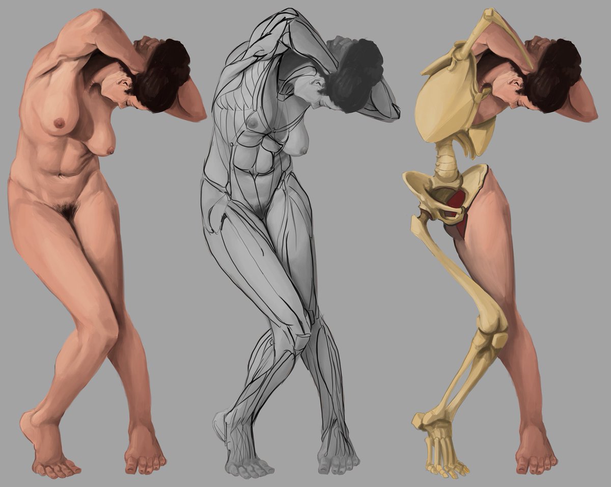 crowswaltz's tweet photo. anatomy study
#digitalart #digitalpainting #digitaldrawing #artwork #conceptart #digitalconcept #artworkdigital #artworkpainting #illustration #digitalillustration #human #anatomy #figure #croquis #reference #skeleton https://t.co/uro2AUZrYG