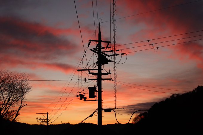 今朝撮った写真続き 