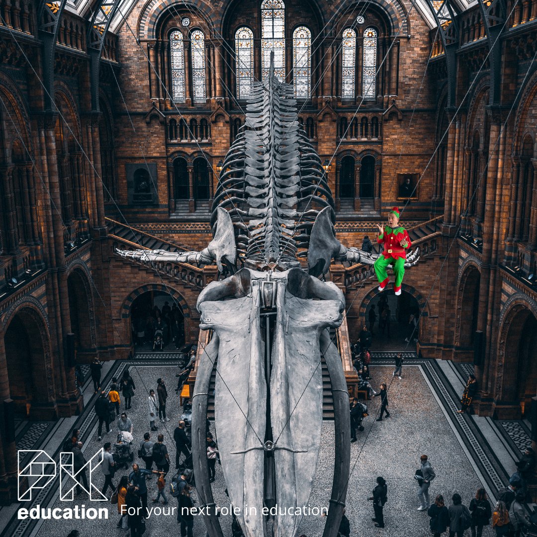 PKeducationUK's tweet photo. Paul the elf isn’t quite done travelling the world, spreading the word of PK Education, just before Christmas! 🧝
Can you name all the places in the photos Paul has visited? 🌍
#Paulonashelf #Elf #teachingjobs #ukedchat #workwithyoungpeople #inspirepotential #getintoteaching https://t.co/3LbVkJknBy