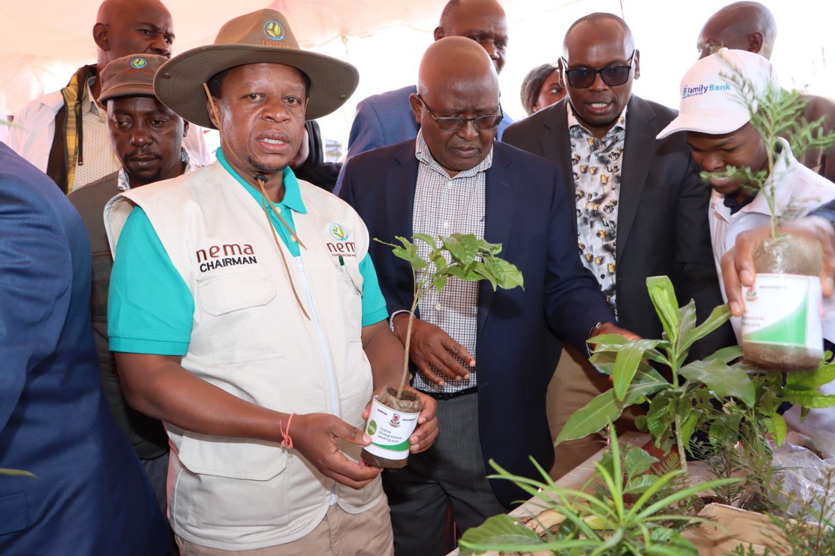 yfga_kenya's tweet photo. The government through @Environment_Ke  launches the tree planting drive #JazaMiti initiative geared towards the planting of 15BILLION trees in 10 years.  #jazamiti #KuzaMiti #TunzaMiti let's all act to achieve this goal. 
photo: @NemaKenya @Environment_Ke https://t.co/yWCshaRVzo