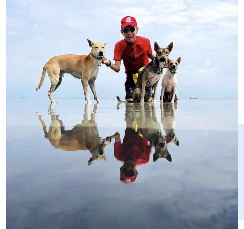 anthraxxxx's tweet photo. The victim who was found buried hugging his dogs. 

Rest In Peace. https://t.co/xodFG1KvaO