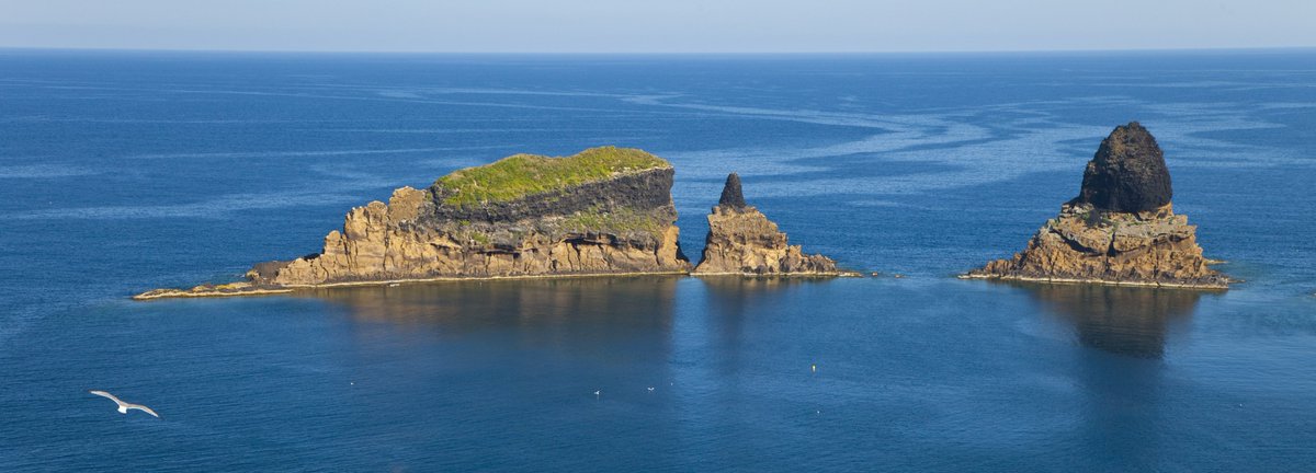 LifeIntemares's tweet photo. El Espacio Marino de Illes Columbretes es uno de los Lugares de Importancia Comunitaria de la Red #Natura2000

En sus aguas encontramos:

✅Fondos de rodolitos o maërl
✅Arrecifes
✅Estructuras causadas por emisiones de gases
✅Cuevas sumergidas
✅Más de 1500 especies marinas https://t.co/PEr2rFvCxp