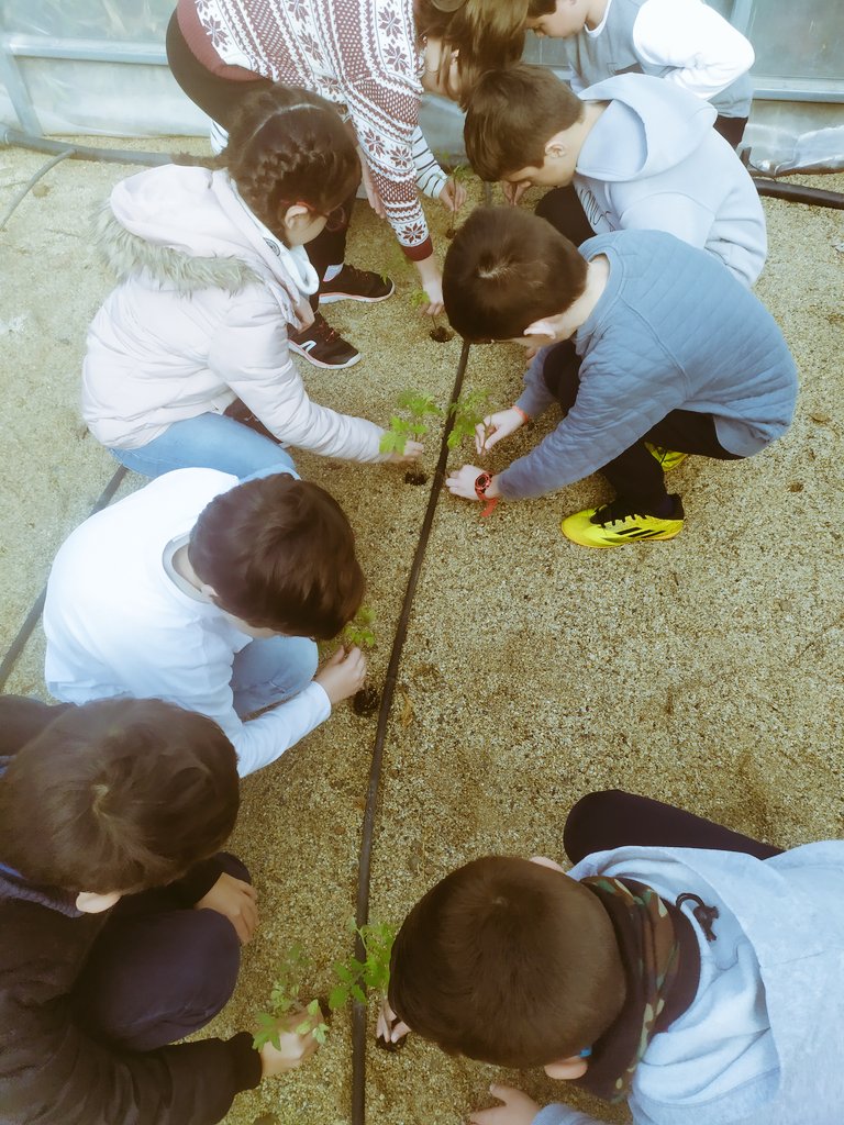 rosamolmos's tweet photo. Día de siembra en nuestro huerto🌻🌵🌱🧑‍🌾
#huertoescolar https://t.co/r2jYSZA6hP