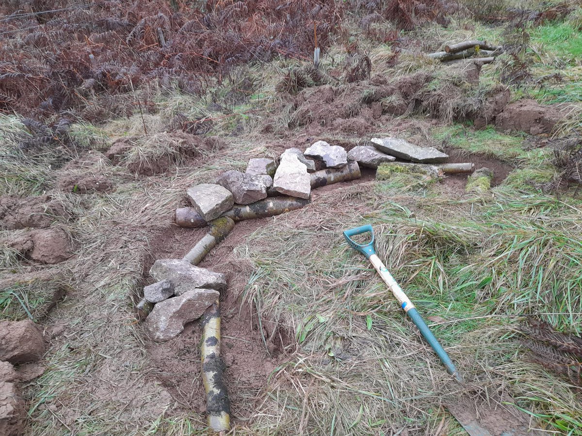 We're building 15 hibernaculums (3 different styles) for adders across the AONB; providing new sites for them to stay during winter helps to protect the population. Each site will also be monitored internally for temp & humidity. Thx to @NaturalEngland for funding #lovethemendips