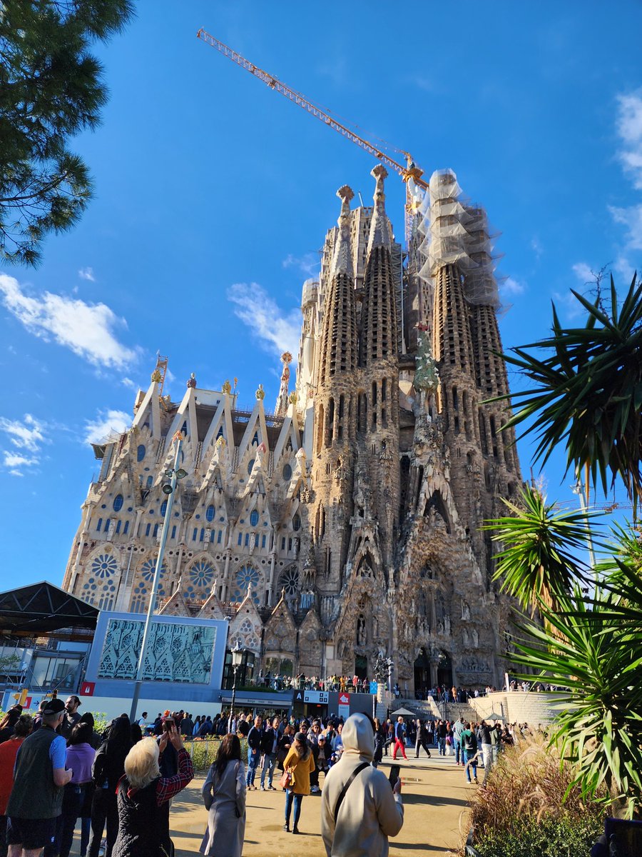 Aso Bauer (@asobauer) on Twitter photo 