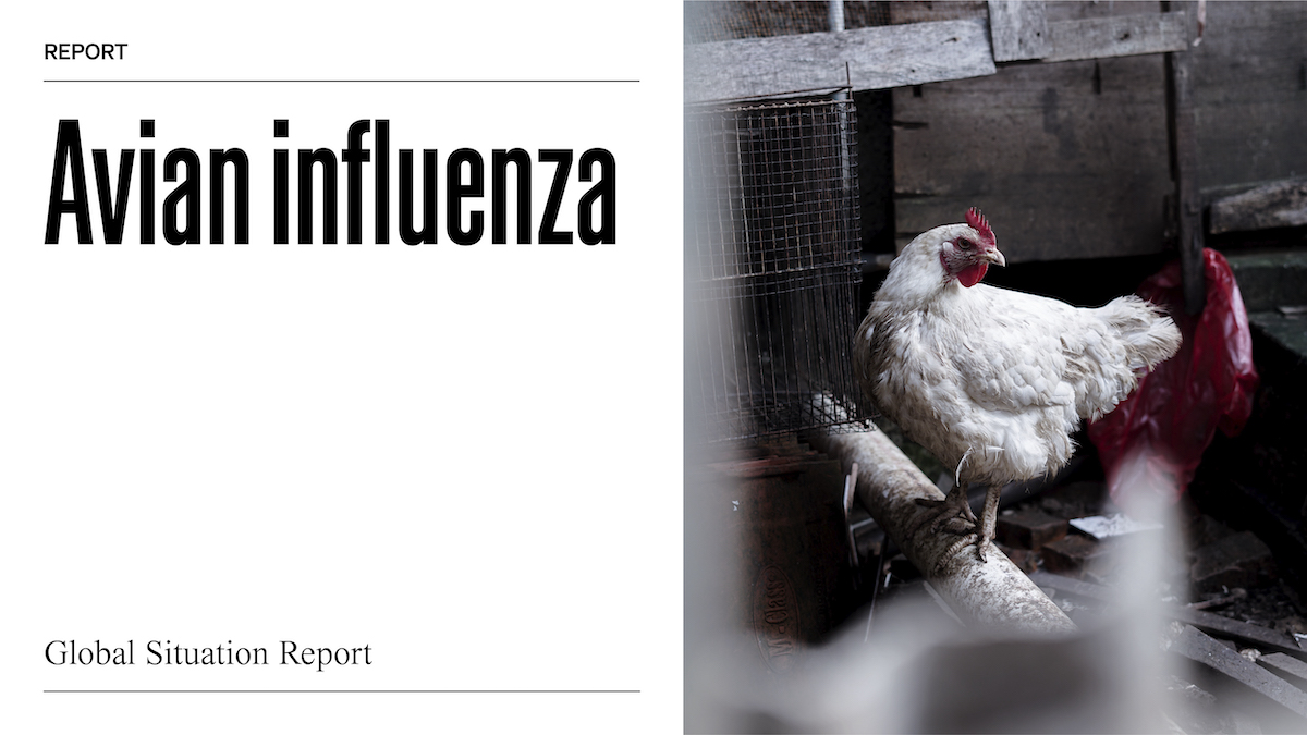 World Organisation for Animal Health tweet media