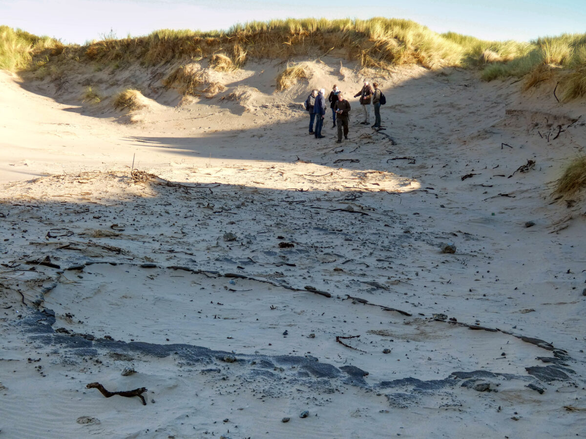 Wat doe je als je een #natuurgebied wilt verruigen, maar daardoor kwetsbare 'zachte resten' uit #WOII aan de oppervlakte komen? Lees het in deze casus uit de #duinen van #Bloemendaal: bit.ly/3Yxt0l8
#archeologie | #natuurbeheer | #zachteresten