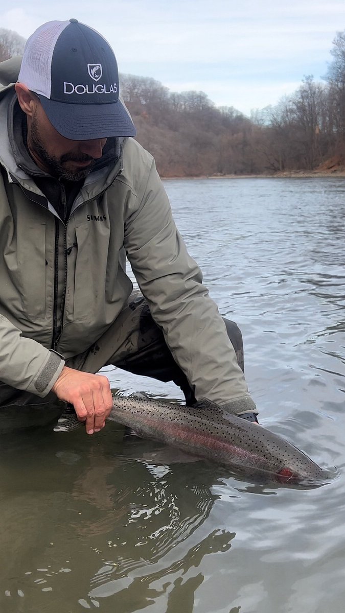 troutit's tweet photo. The release…
#lakerun #UpstateNY https://t.co/BU0YKnVuhi