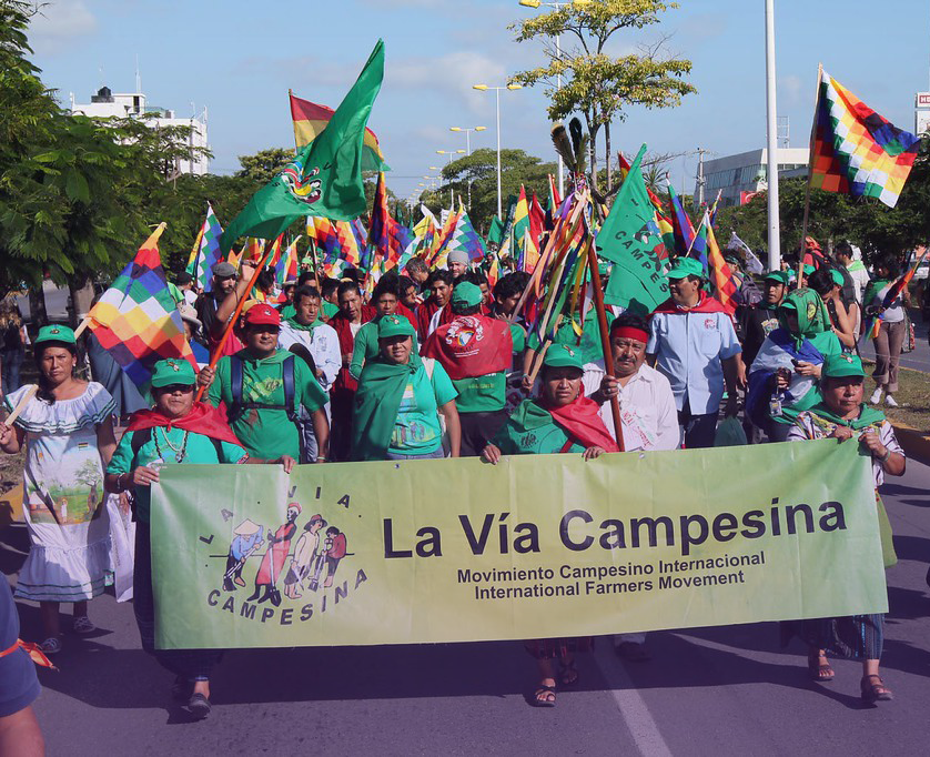 via_campesina's tweet photo. @DefendingUNDROP @lvcseea @LVCSEAf @monlarlk @NFUcanada @FamilyFarmCo @friendsatc @PeasantsLeague @ecoruralis @lvc_southasia @assorurale @spipetani 🌿✊🏽  𝗗𝗲𝗰𝗹𝗮𝗿𝗮𝘁𝗶𝗼𝗻 𝗼𝗳 𝗣𝗲𝗮𝘀𝗮𝗻𝘁 𝗥𝗶𝗴𝗵𝘁𝘀: 𝗔𝗻 𝗜𝗻𝘀𝘁𝗿𝘂𝗺𝗲𝗻𝘁 𝗶𝗻 𝘁𝗵𝗲 𝗦𝘁𝗿𝘂𝗴𝗴𝗹𝗲 𝗳𝗼𝗿 𝗟𝗮𝗻𝗱
... read about some achievements and challenges of the peasant movement to implement it #LVC30Years #PeasantRightsNow 📲 https://t.co/ACgo8xjfRt https://t.co/oGtGitKJ0Q