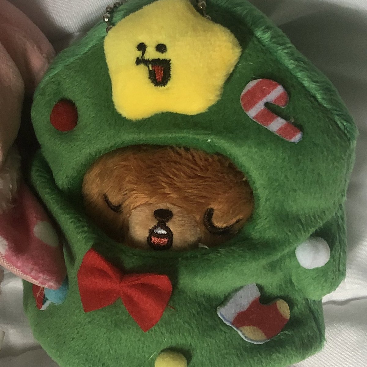 leescarts's tweet photo. hiii @formymarkIee ♥
the christmas tree costume arrived safely! thank you so much for packing it well and for the cute freebies ♡ happy holidays to you too !!
#mintchocofeedbacks https://t.co/aAR25VvYcI