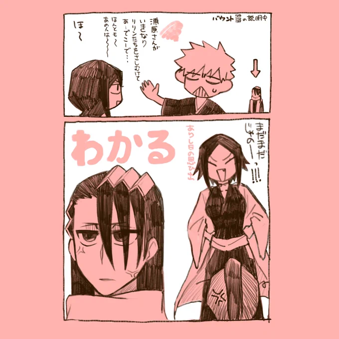 浦原ブートキャンプ〜改造魂魄といっしょ〜
多分白哉坊と砕蜂は夜一ブートキャンプが開催されてたんだろうな 