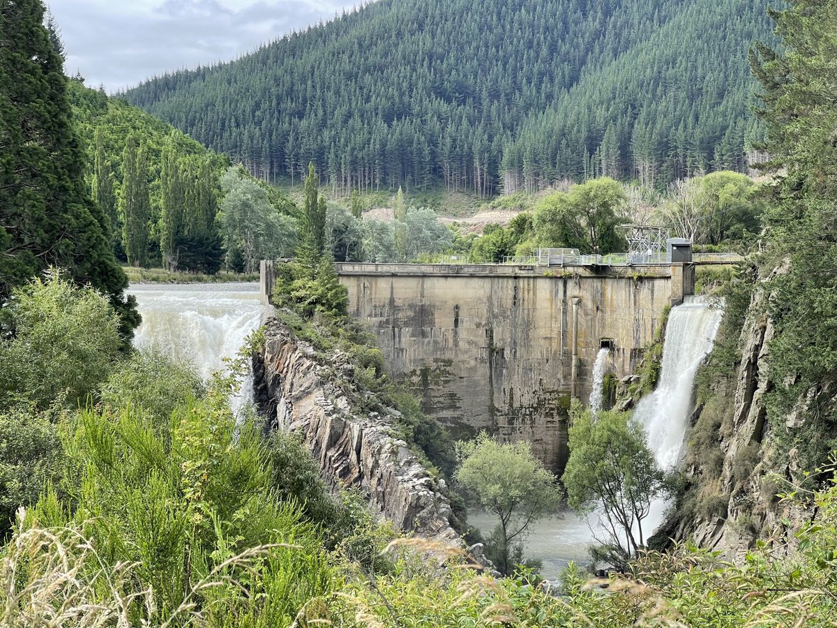 aquidity's tweet image. Waihopai Valley, #Marlborough Spillway, two men in white suits, one curious cow #Spyvalley #Wednesday