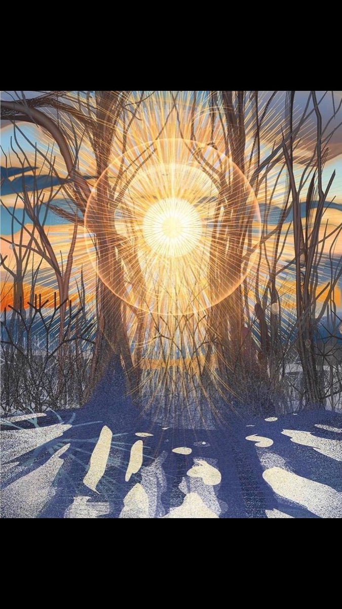draakje-on-twitter-and-today-is-winter-solstice-the-shortest-day