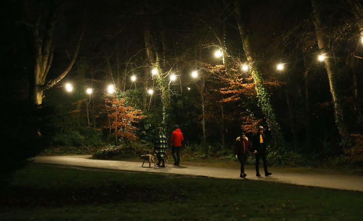 The illuminated walking trail at Marlay Park is all lit up for Christmas. It is open from 4pm to 8pm Mon to Fri, fully accessible for wheelchairs and buggies. 
Christmas Opening Times:Wed 28th to Fri 30th December &amp; Tues 3rd to Fri Jan 6th🌳🎅🌲
#dlrevents #dlrChristmas