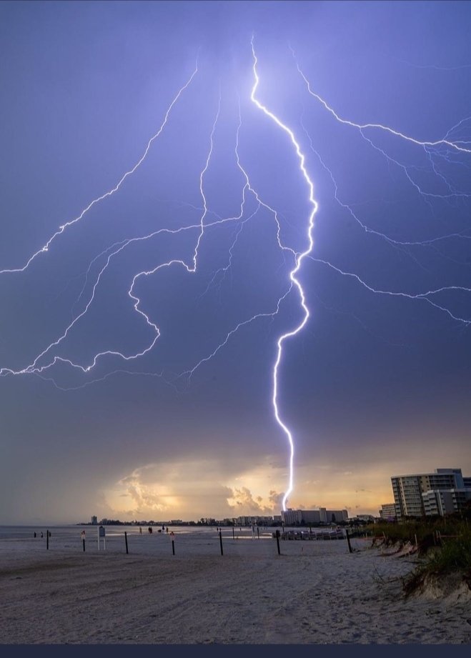 Yaşamda en önemli şey kazançlarımızı kullanmak değildir. Bunu herkes yapar. Asıl önemli olan kayıplarımızdan kazanç sağlamamızdır. Bu zeka gerektirir; akıllı insanlarla aptal insanlar arasındaki fark budur.