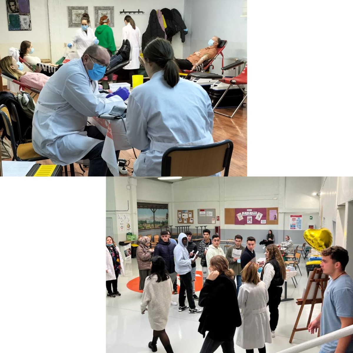 Marco Formación tweet media