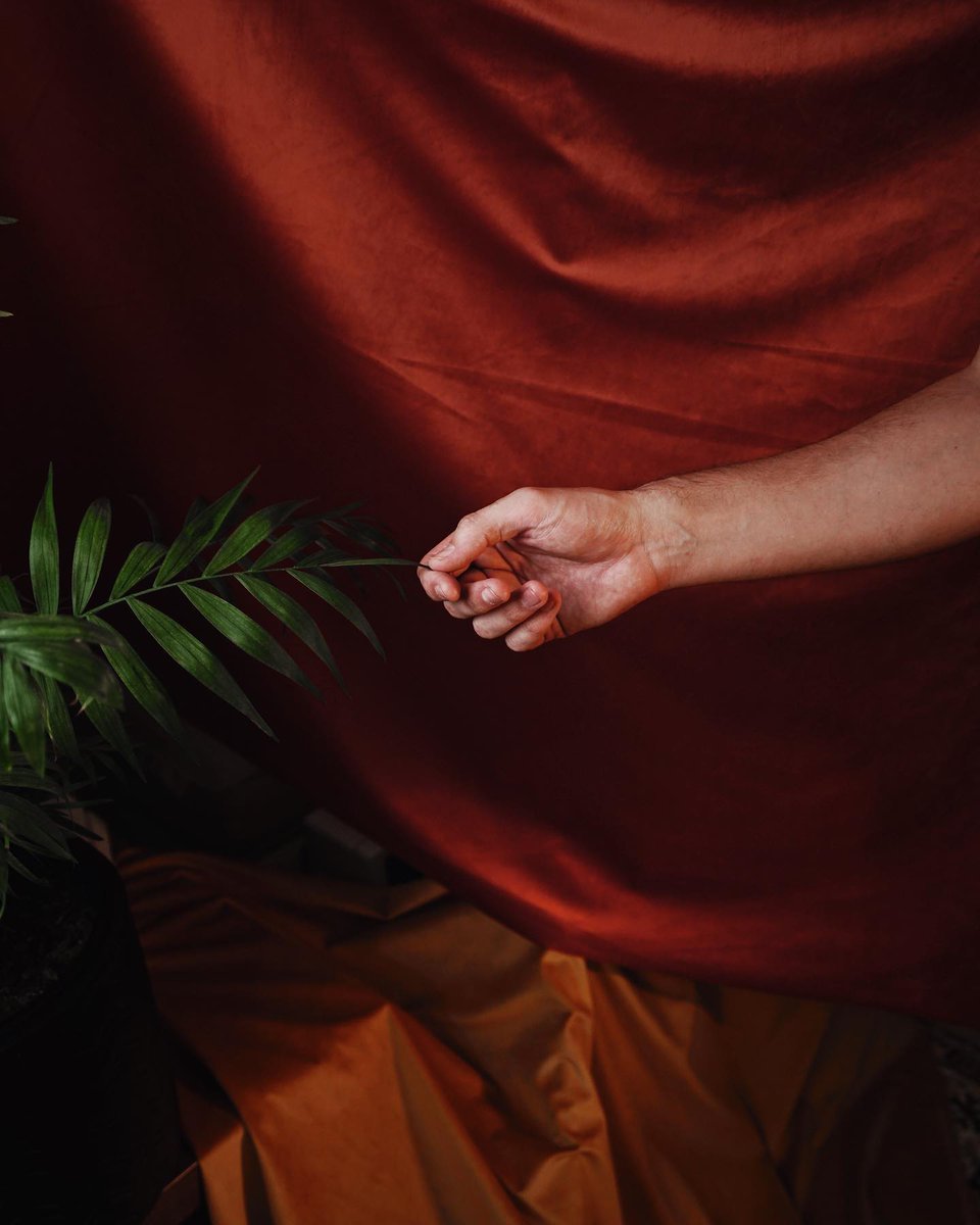 Winterbourne tweet media