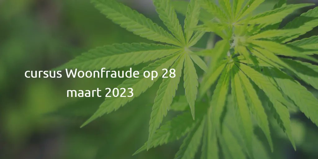 Habitaskcursus's tweet photo. Wil jij je alertheid verhogen en leren welke stappen je kunt zetten richting een duidelijke aanpak tegen woonfraude? 

👉 Deze cursus is geschikt voor medewerkers van woningcorporaties die geïnteresseerd zijn in het doelgericht aanpakken van woonfraude.

https://t.co/6sVrlEpnME https://t.co/qnnSInzfek