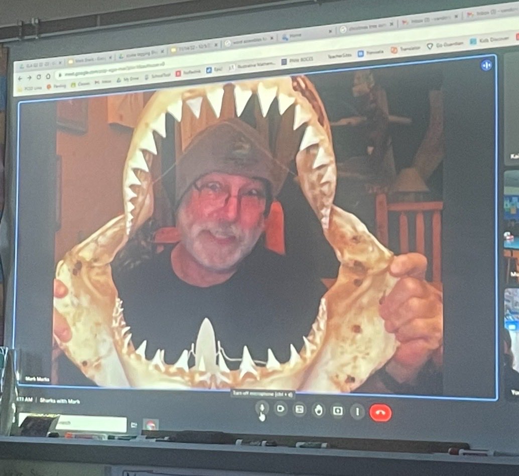 Many thanks to shark expert Dr. Mark Marks for sharing his knowledge with Pawling 5th graders