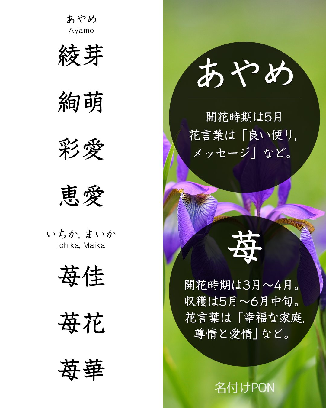 名付けポン 赤ちゃんの名前集 Nazukepon Twitter