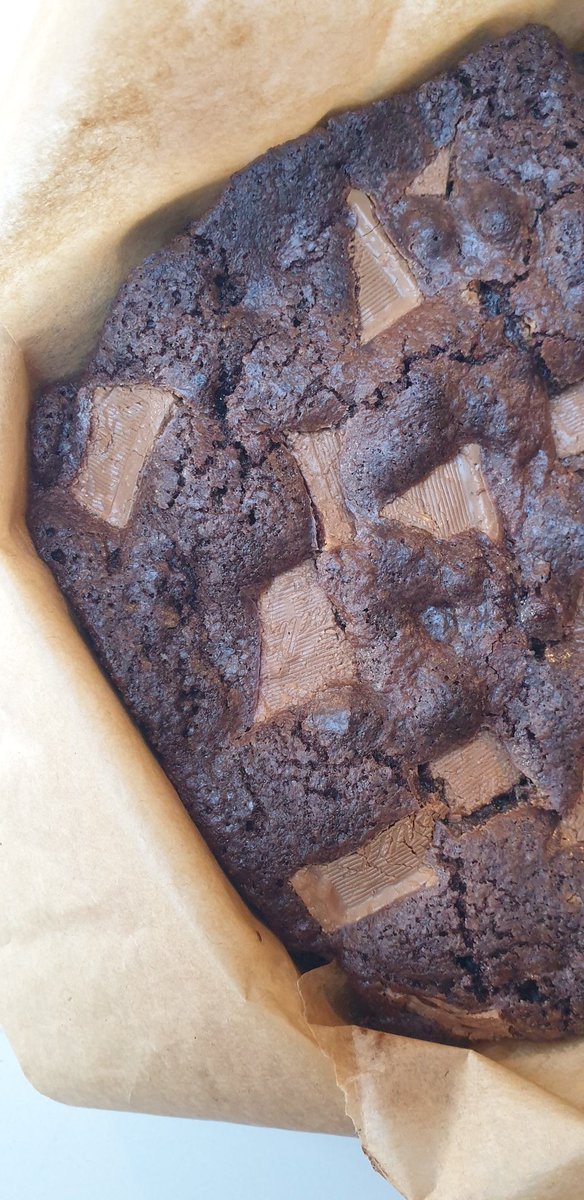 EssCat 🔮💜🐙 tweet media