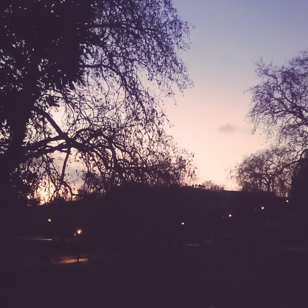 rAndomlightx's tweet photo. Tonight
Sunset up on Primrose Hill https://t.co/bzJXNpd3L0