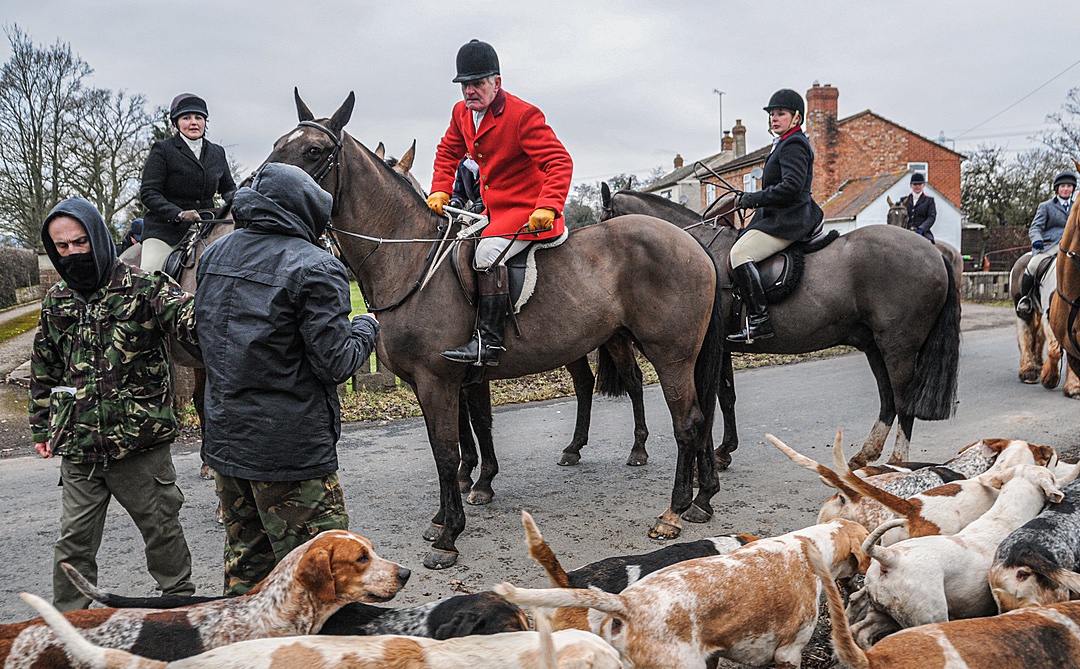 We hate asking for followers. But we hate fox hunting even more. It’s why we will never be ashamed to ask for support here on Twitter. Because the more of us there are the faster we can end this sick pastime.

RT and follow <a href="/ProtectTheWild_/">Protect the Wild</a>  if you’re with us! 🦊