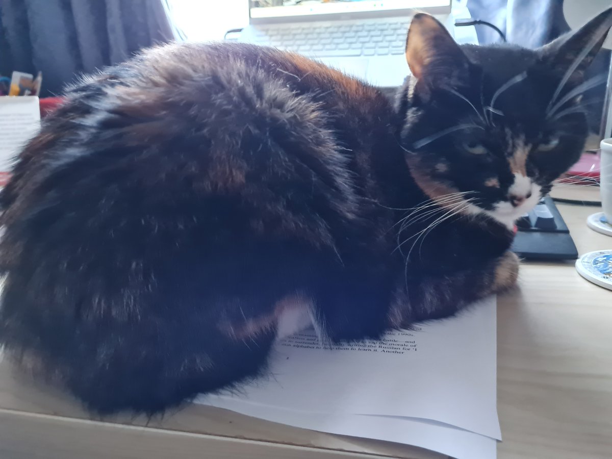 I spent the last few hours drafting a newspaper article that includes some of my recent research. I printed it to read and revise. My cat, Lyra, volunteered her help--but this is an expression no one likes to see on an editor's face 
#academicswithcats #journalism #writerslife