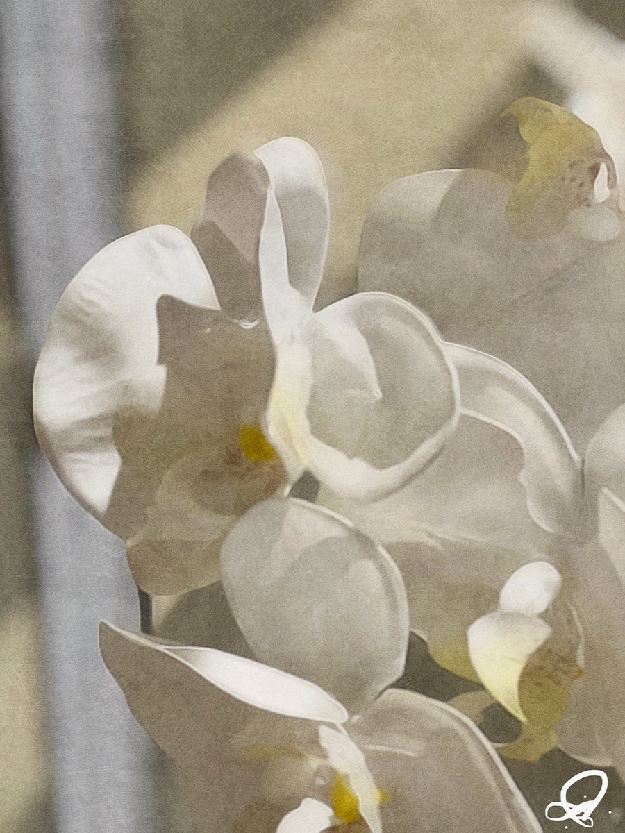 Sandra Audujas tweet media