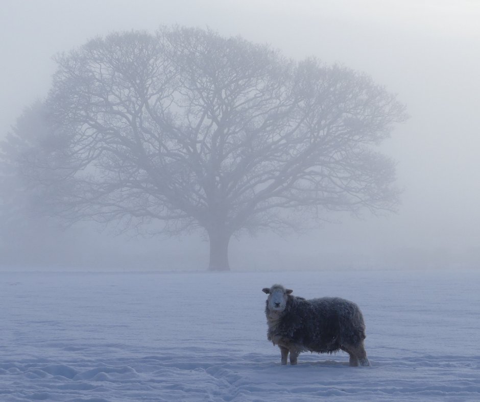 Happy #wintersolstice everyone! ☀️ Many ancient cultures celebrated the solstice as an end of harvest festival, with feasting and fires. Today, we want to thank our fantastic #farmers for all their hard work - rain or shine, light or dark 🌱