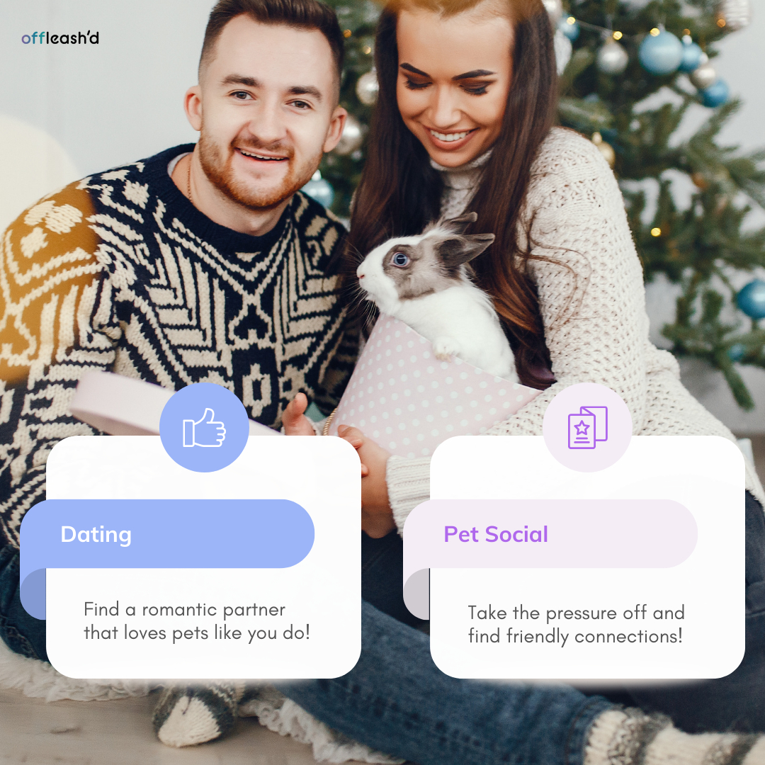offleashd's tweet image. Did you know Offleash&apos;d offers two modes on our app? Dating vs. Social. The app offers an easy &apos;switch&apos; feature to allow you to use both, or just one! Download our app to begin making new friendships and relationships today. 🦄💜

offleashd.com 🌐