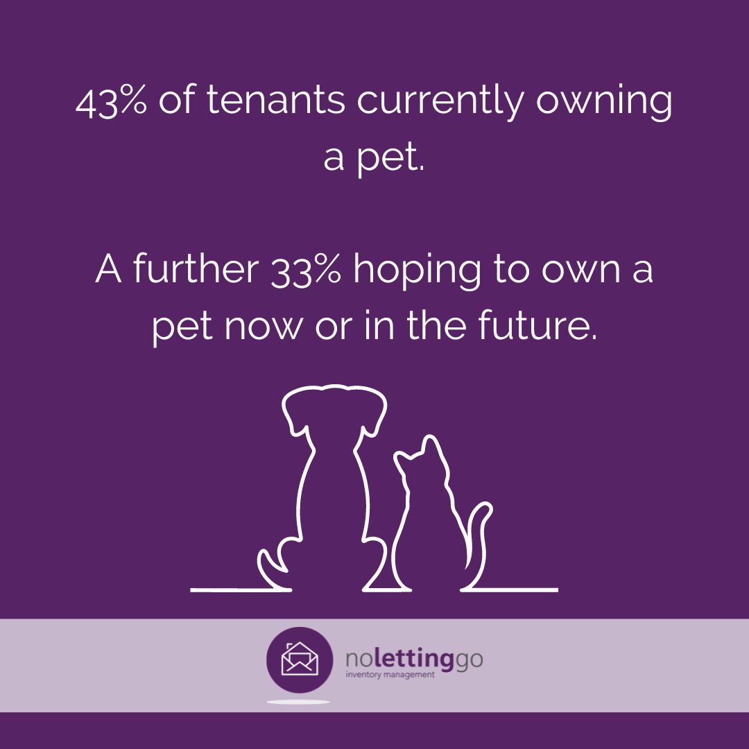 Are you a landlord who allows pets in your property?

What measures do you take to safeguard your property and belongings?

Let us know your thoughts!