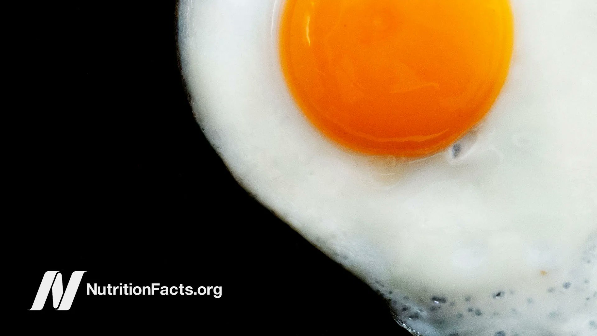 Michael Greger M D On Twitter Do Eggs Raise Cholesterol Even Nine do-eggs-raise-cholesterol-levels-youtube