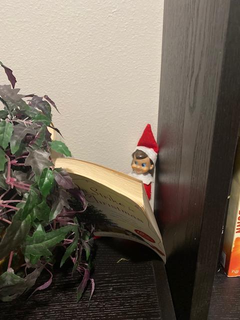 Congratulations to our staff member who spotted Sammy getting in a quick read in the library...This cotton-headed, ninny muggins won't stay still long enough to start (or finish) anything. I wonder where he will pop up next?!