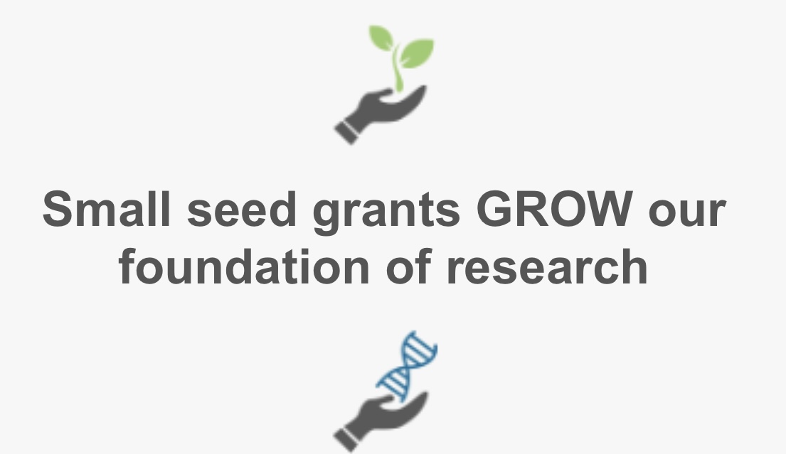 Since 2018, we've awarded $1.7M in grants to advance & accelerate #SCN2A research. This has established a foundation of knowledge and resources that are rapidly propelling the entire field towards our Vision of a world with effective treatments and cures for all SRDs. #cureSCN2A