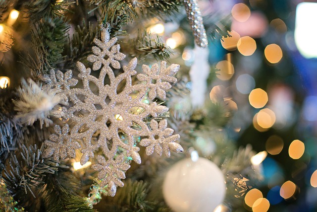 From all of us at Fidelio, we wish you and your loved ones a peaceful Christmas and a healthy, happy New Year.