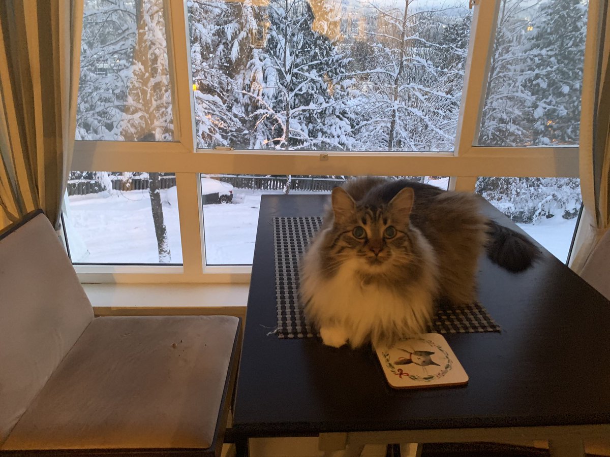 Ella says happy Snow Day #3. Also, <a href="/burgessct/">Christopher Burgess</a> rumour has it you may have some farm machinery handy. Please dig me out as the wine is almost gone and Ella needs treats 😬