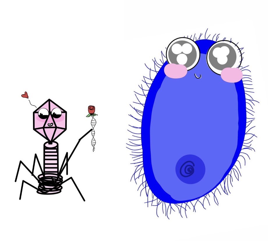 h__3x3's tweet image. Traditional methods of education are boring, right?!

We are students at SQU and we made 4 new things that help to learn about viruses: Animation videos, Hologram, 3D printing and crochet.

#bio_got_talent
#science
#SQU