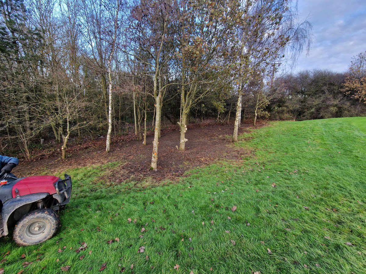Clearing out the side of the 6th green to increase light, flow of oxygen and all that. But we all know it's helping them find their ball when they thin it 200 yards across the green. #bunkerstinger