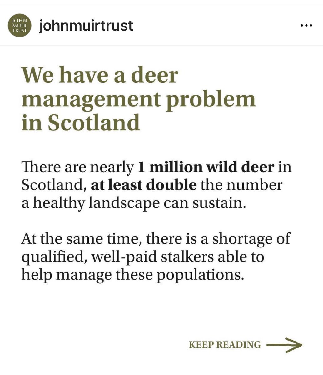 Lynx_Scotland's tweet image. Hello there!