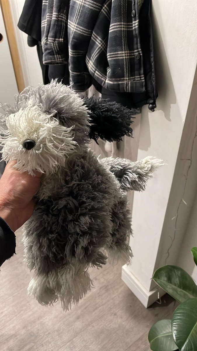 Son wins a Tukka dog from an AA promo and lauds it on the family whatsapp..wife loves it.... So, where do I buy one <a href="/TheAA_UK/">The AA</a> .. I'm just being strategic cos I know what question is coming.. 😁