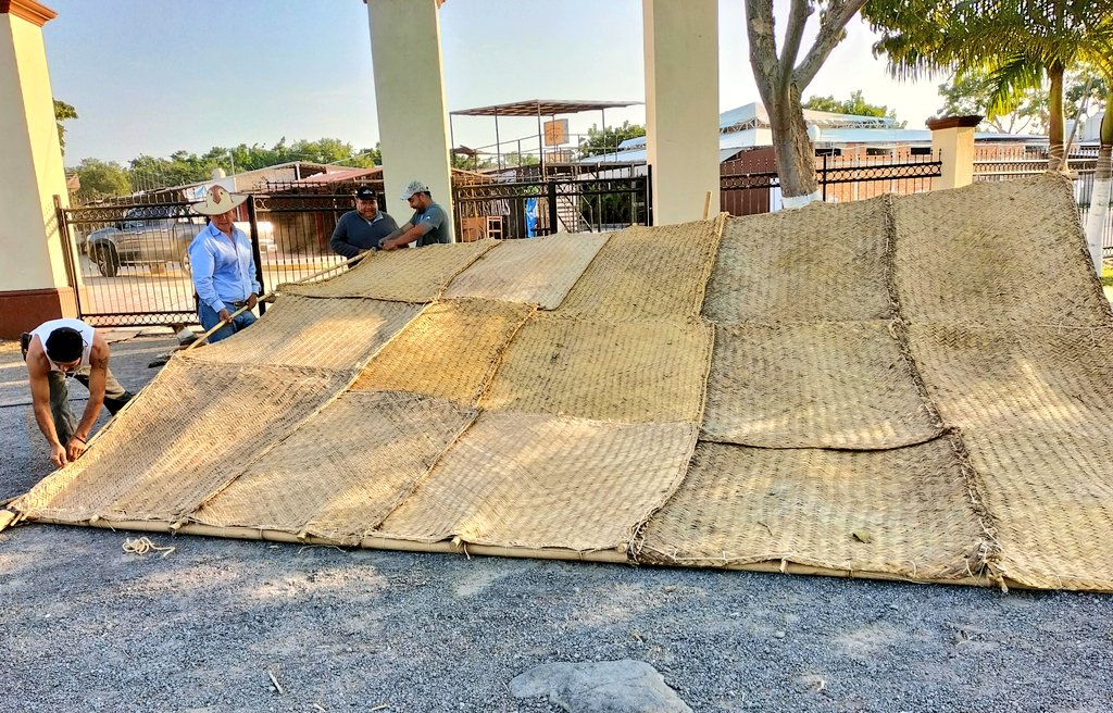 robertobravof's tweet photo. Buen día Oficialmente la primera línea de madera y la primera sombra (oficina de la plaza) instaladas #Petatera2023 https://t.co/7W4sfNFJn0