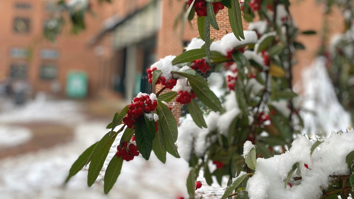 ❄️ Seasons greetings from everyone here at EECS! ❄️

Our offices will be closed from 5pm today until Tuesday 3rd January. 

We hope all our staff and students have a restful festive break, and we look forward to seeing you all in 2023! 🎇