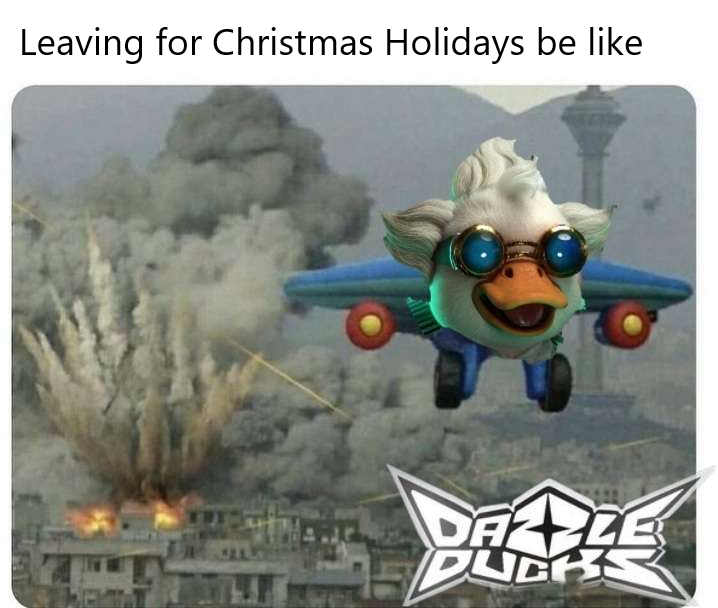 Dazzle Ducks tweet media