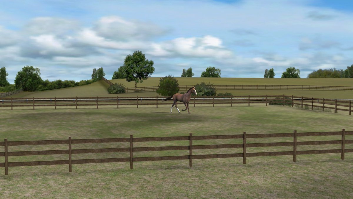 Check out my photo! Add me, RangyDiner994. #MyHorse  nmgam.es/horse_twitter