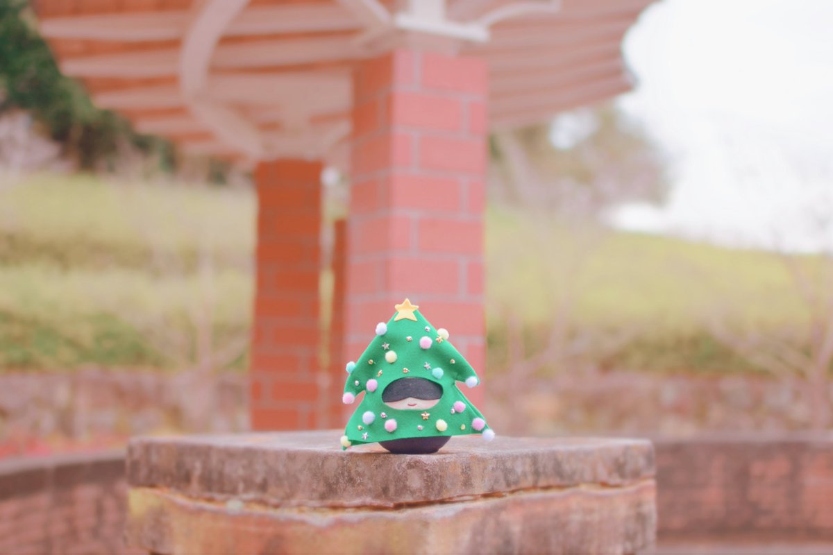 5nui25pun's tweet photo. ふわ五くんの散歩🎄
 #じゅじゅぬい https://t.co/Fh53tEcqxp